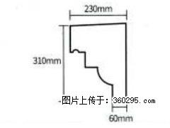 产品分解图型 - 檐口线，型号：SX311-YK-3，规格：230x310mm(3) - 连云港三象EPS建材 lyg.sx311.cc